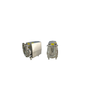 Sanitary Stainless Steel Abb Motor Water CIP Pump 